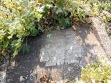 image of grave number 360190